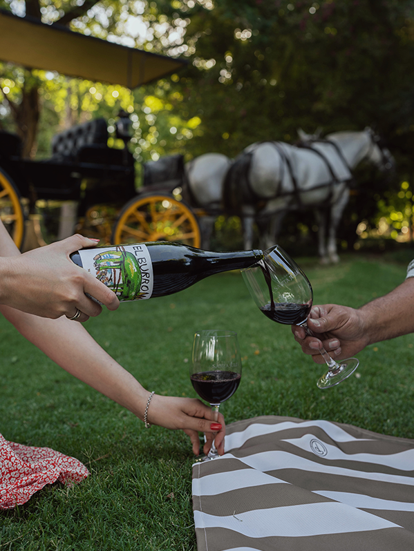 Jantar Harmonizado Zuccardi