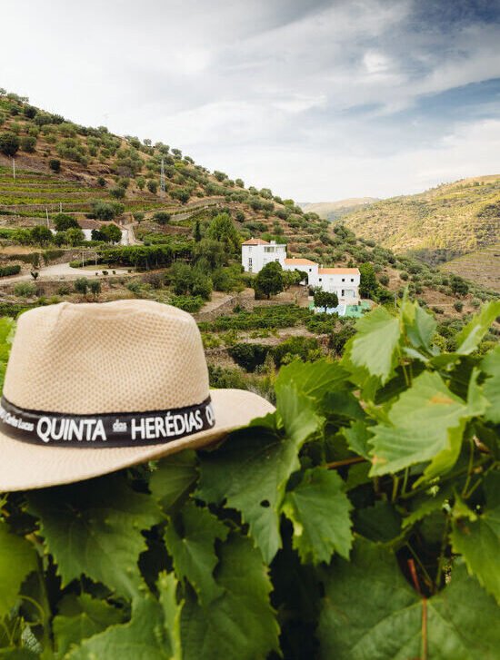 Jantar Harmonizado Quinta do Ribeiro Santo e Quinta das Herédias